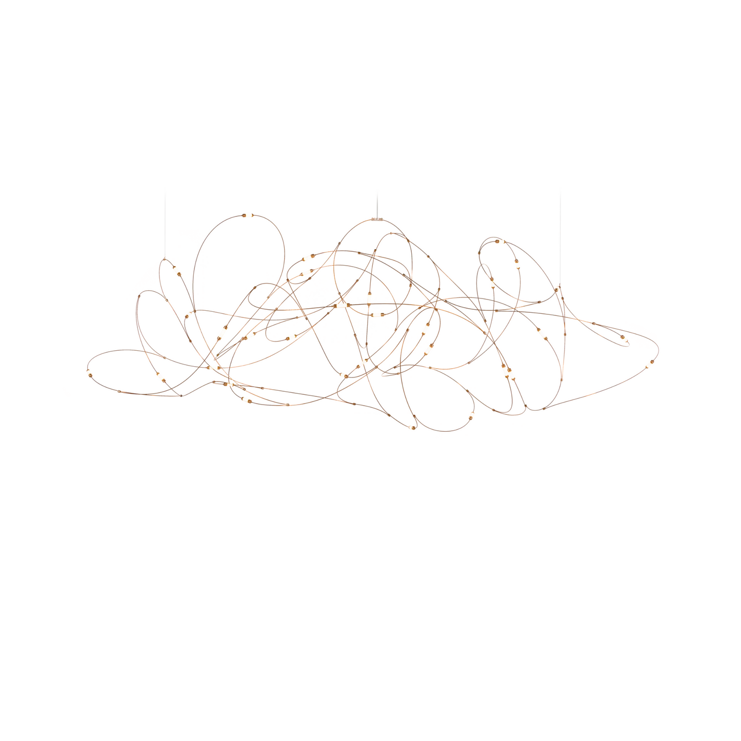 Flock of light 31