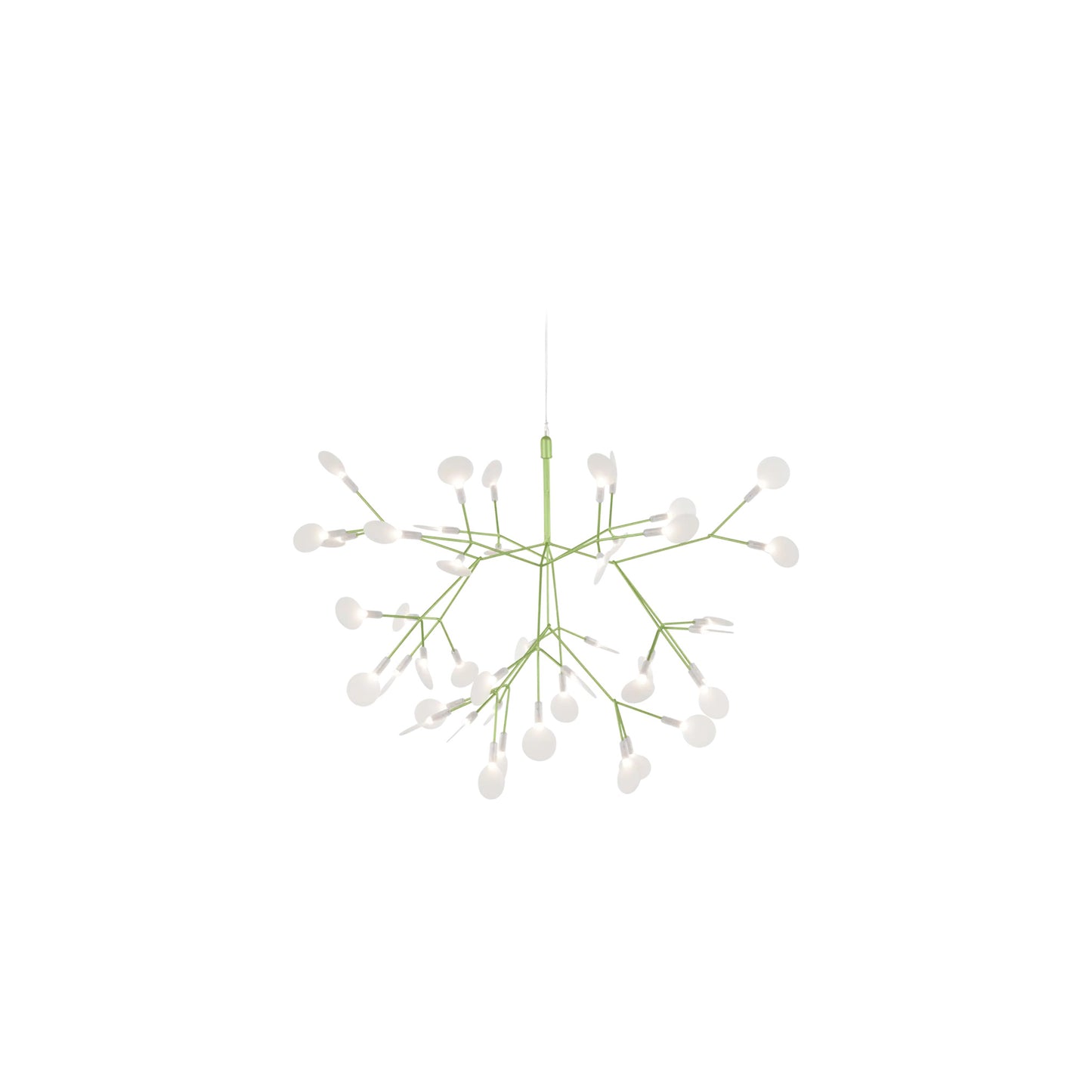 Heracleum III Hangandi Ljós