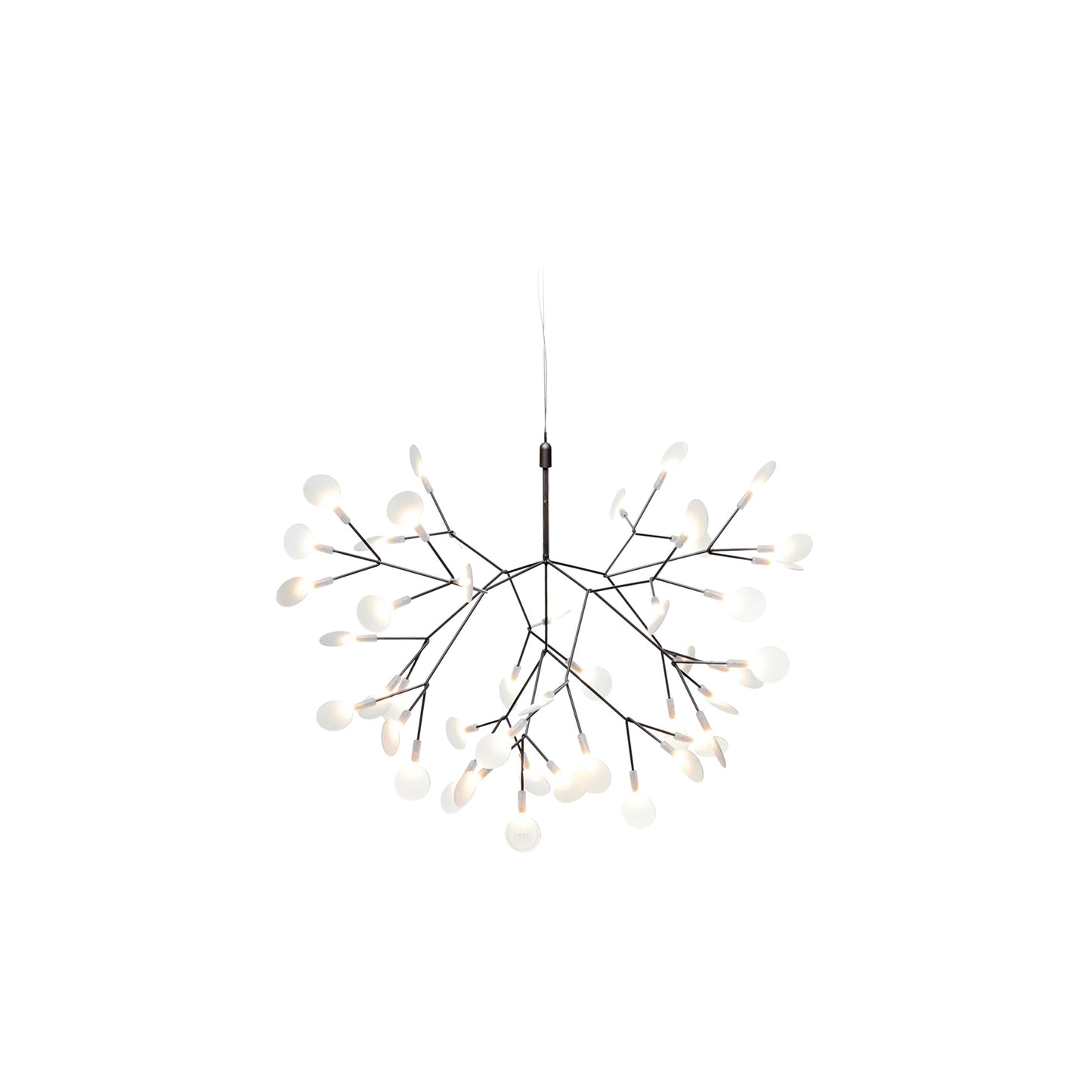 Heracleum III Hangandi Ljós