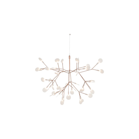 Heracleum III Hangandi Ljós