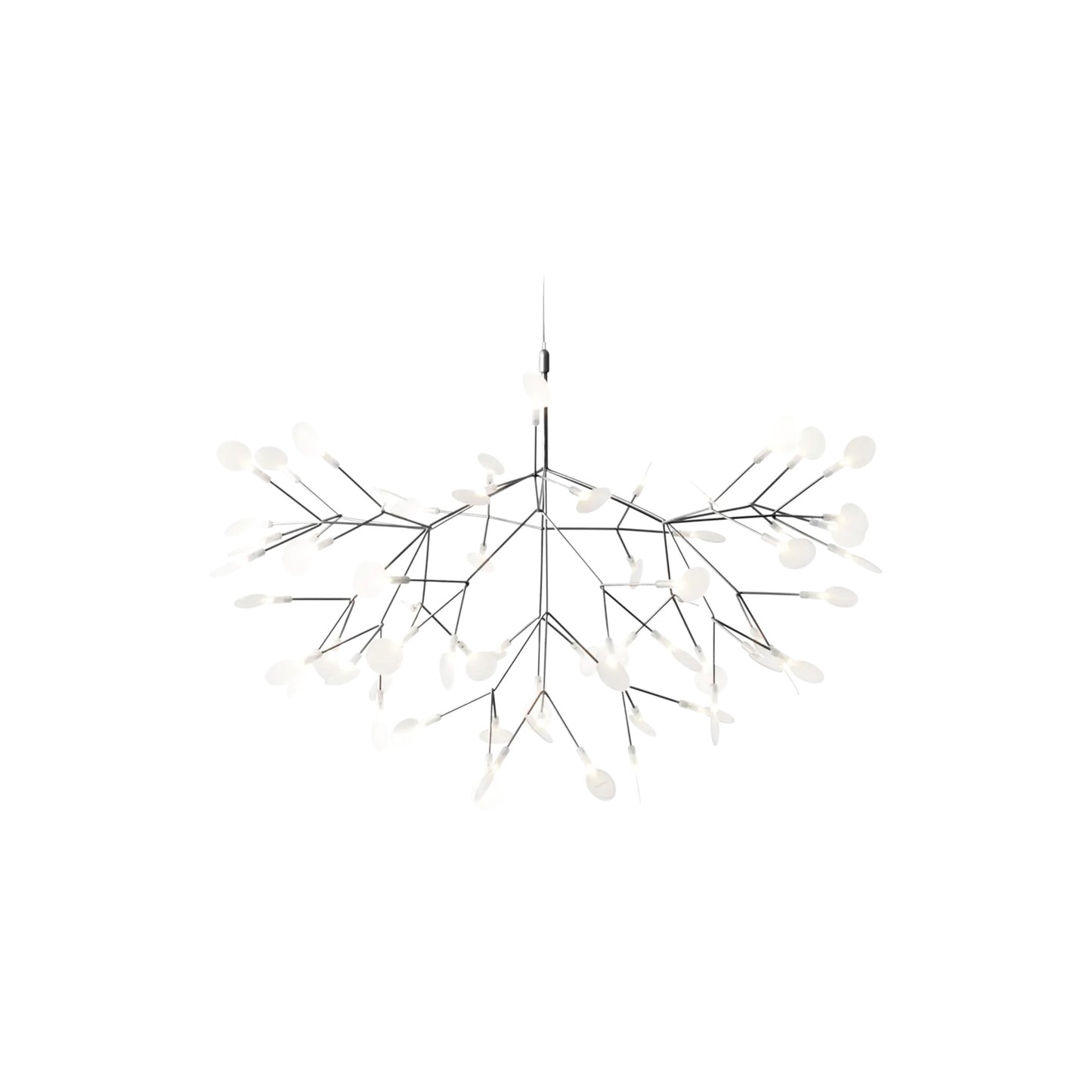 Heracleum III Hangandi Ljós