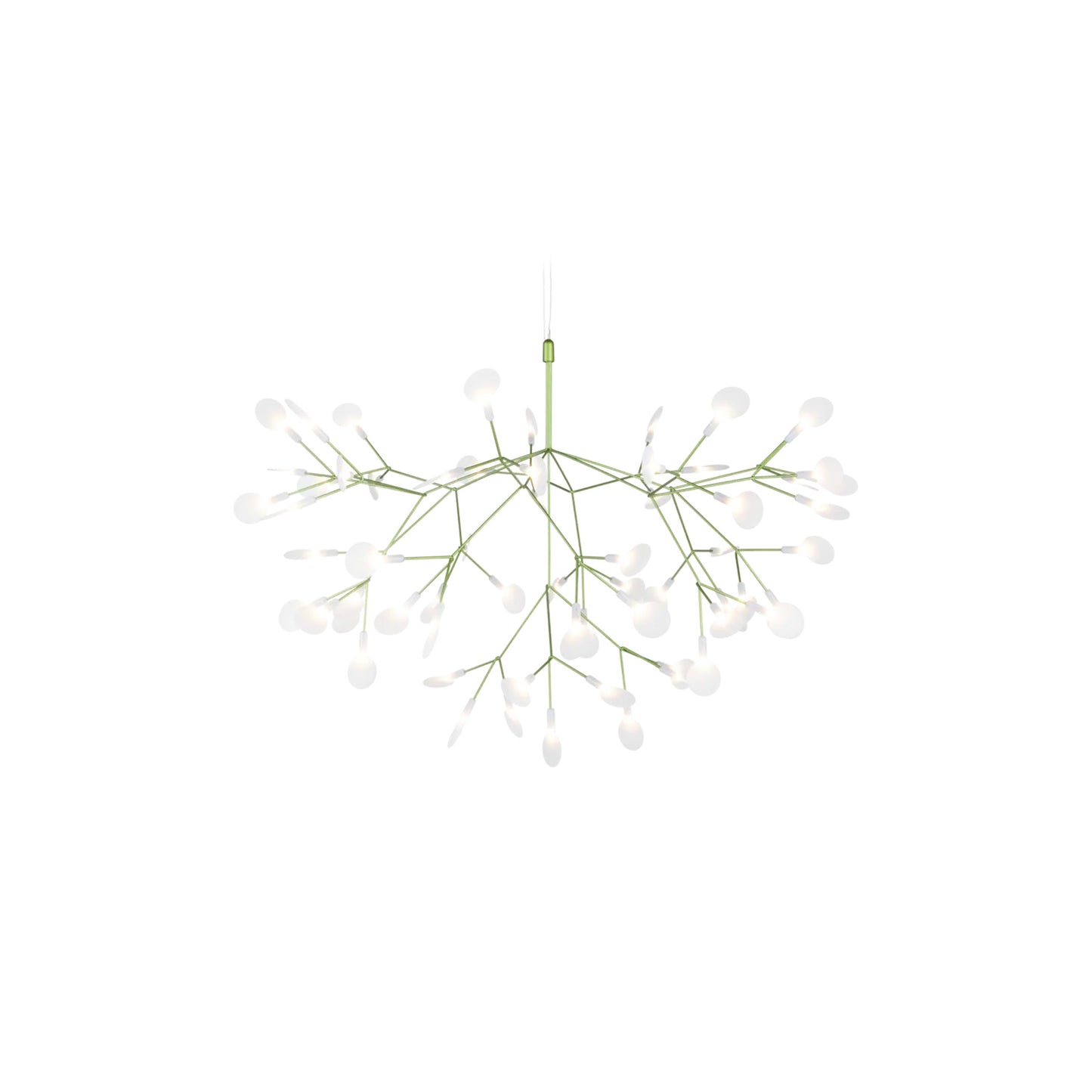Heracleum III Hangandi Ljós