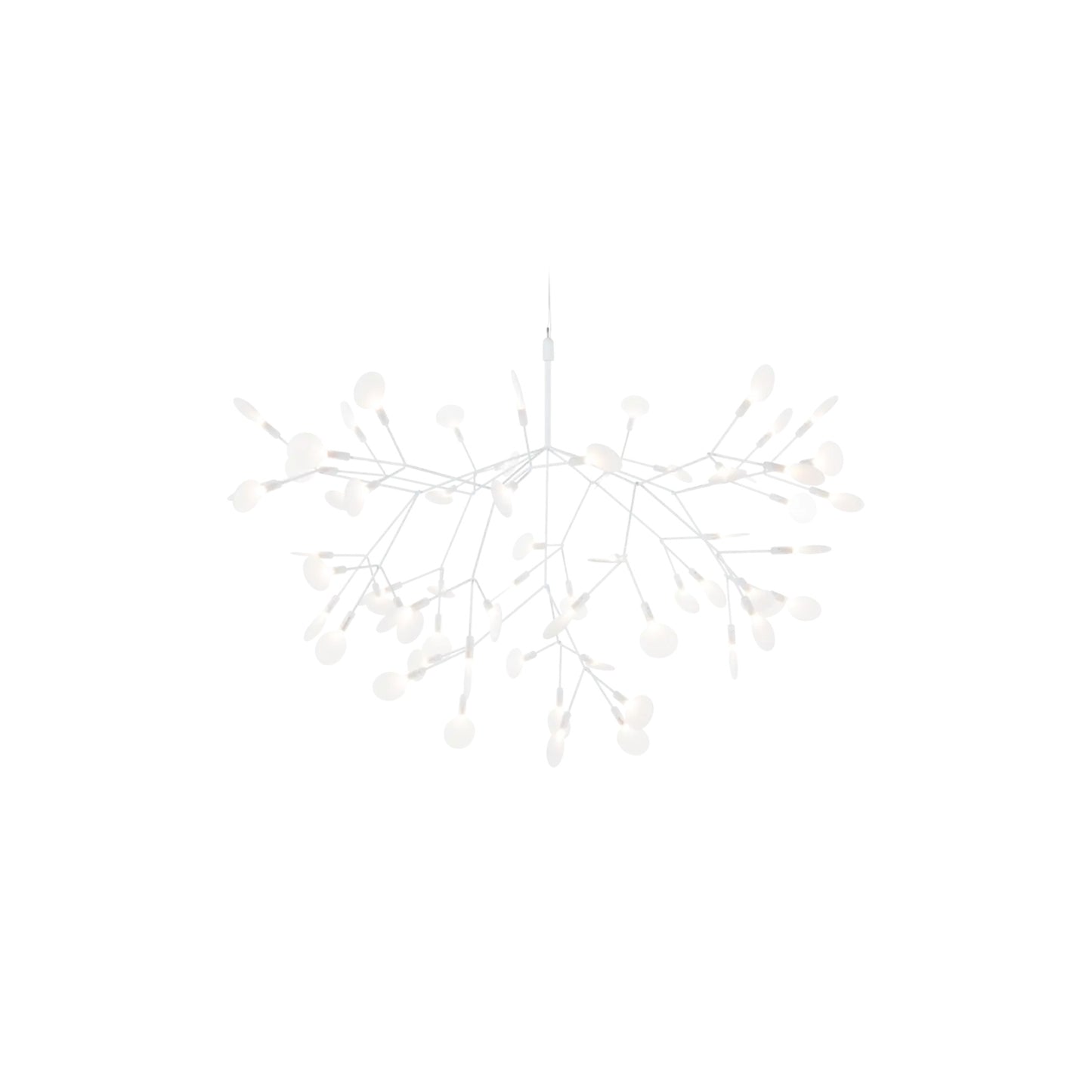 Heracleum III Hangandi Ljós
