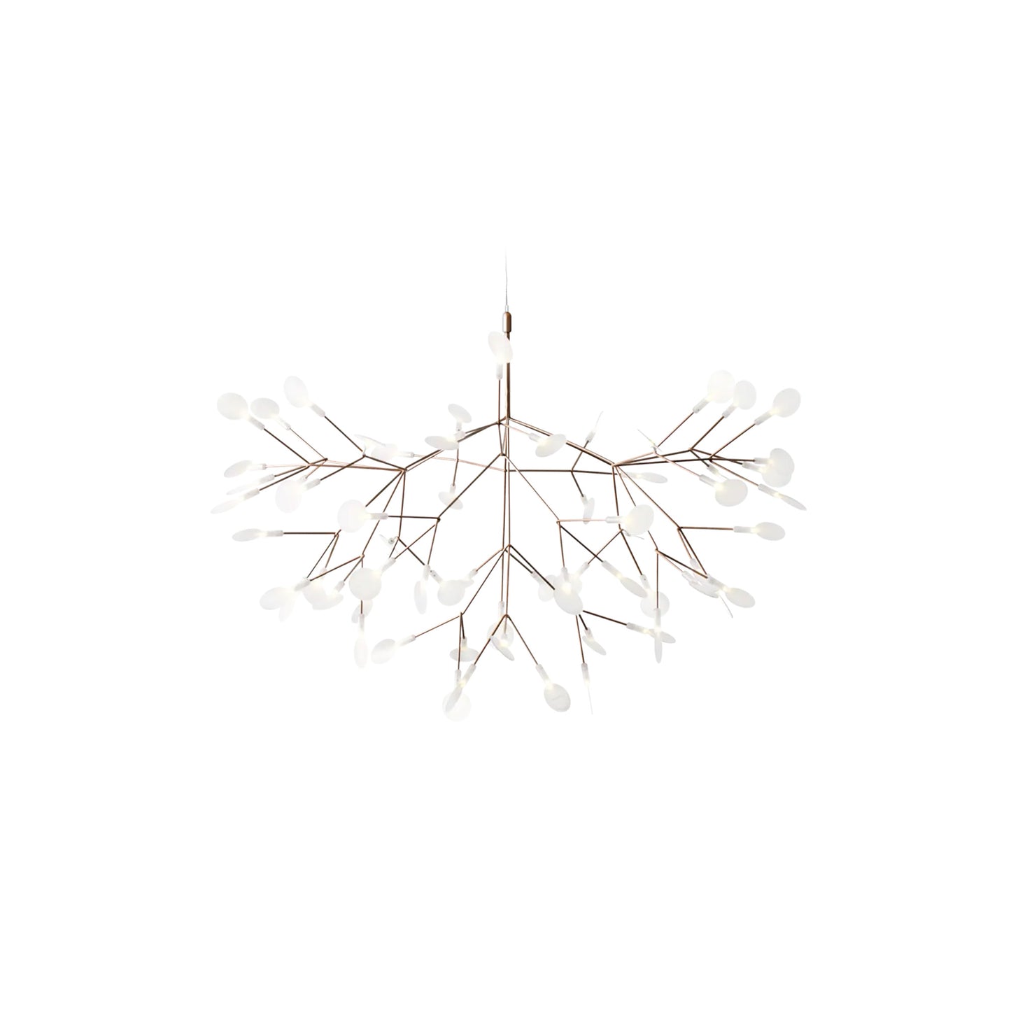 Heracleum III Hangandi Ljós