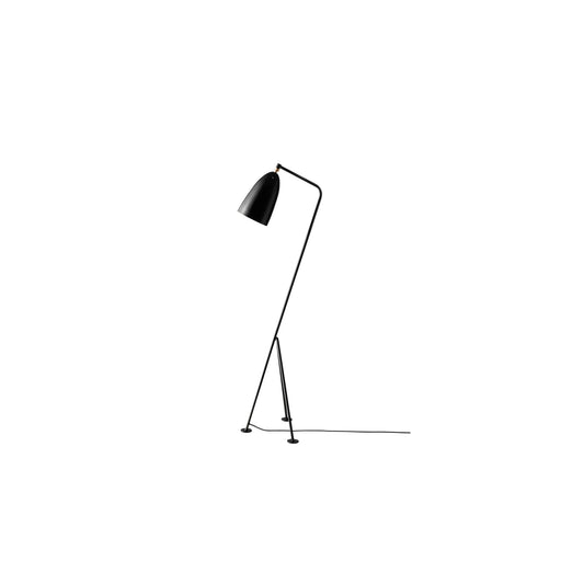 Grasshopper floor lamp