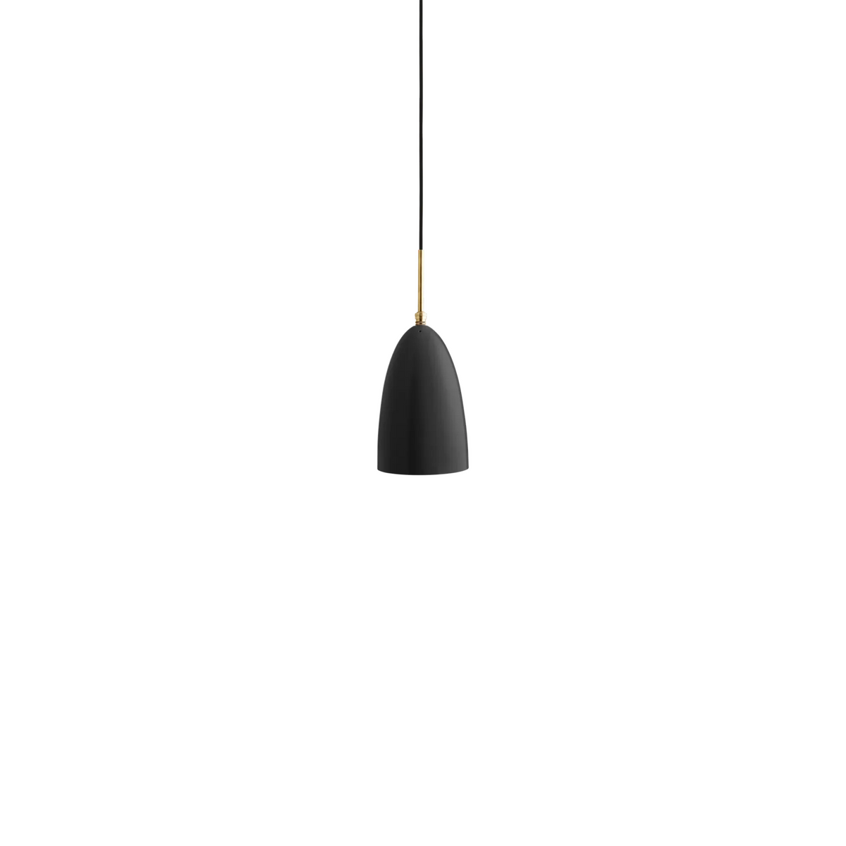Gräshoppa Hangandi Ljós