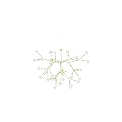 Heracleum III Small - Hangandi Ljós